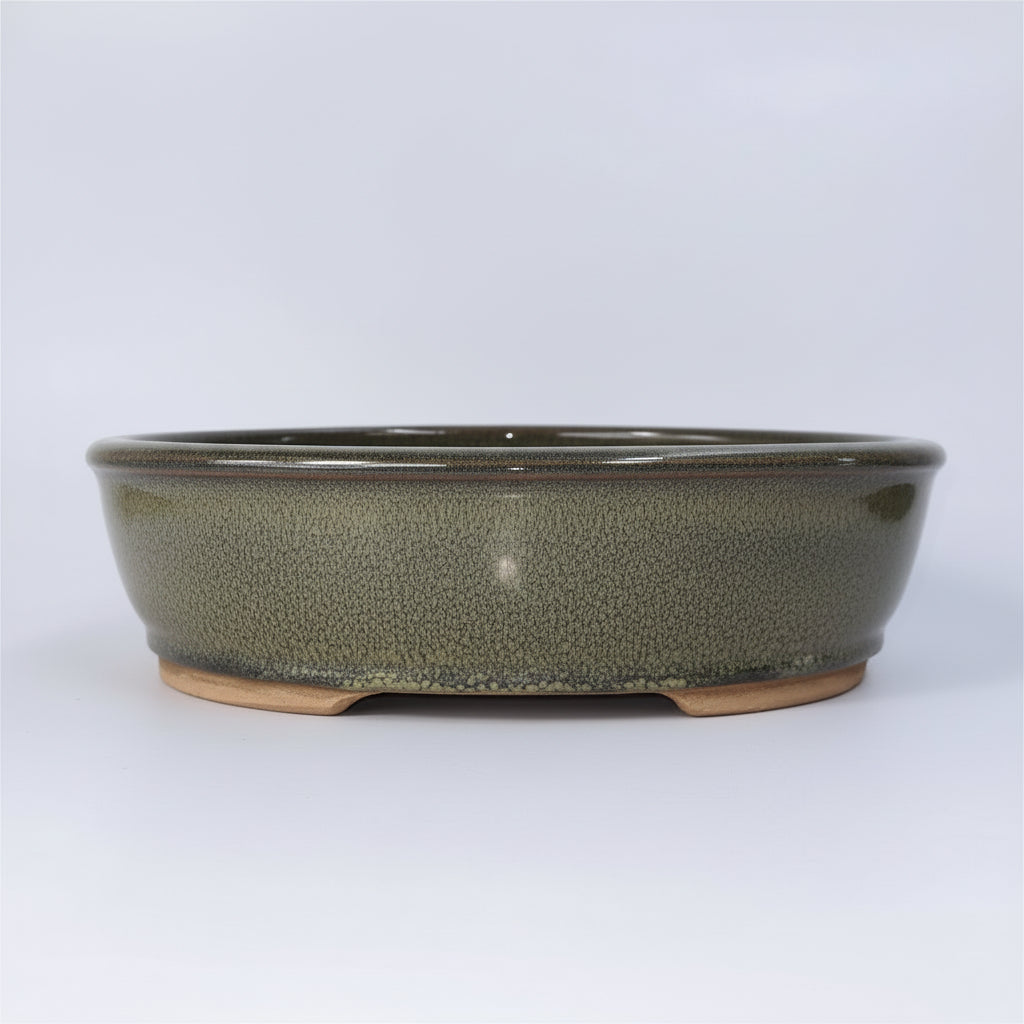 32cm Glazed Bonsai Pot | Oval | 32cm x 25cm x 9cm | Green