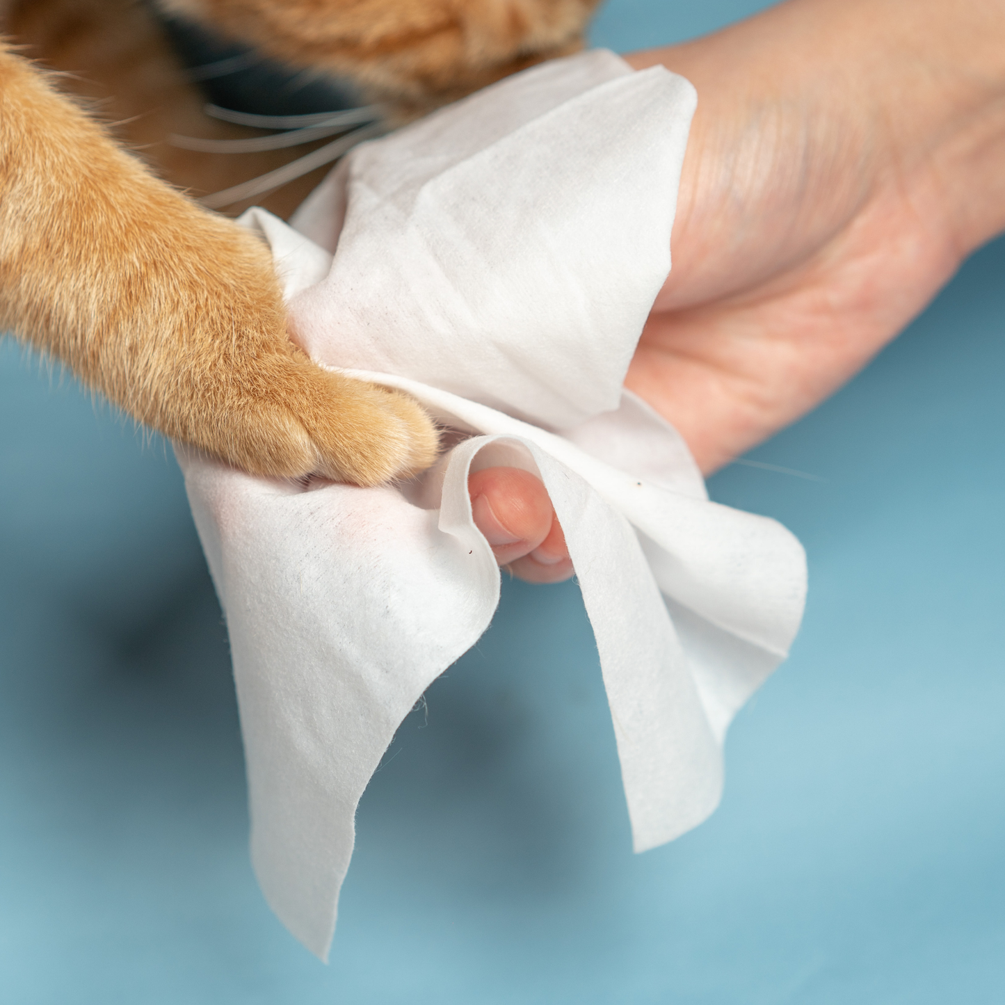 pidan Cleaning Wipes for Pets ( Fragrance Free)