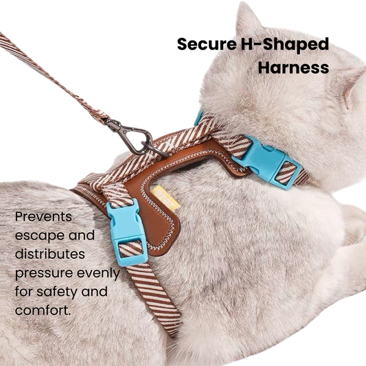 zeze Pet Leash & Harness Set