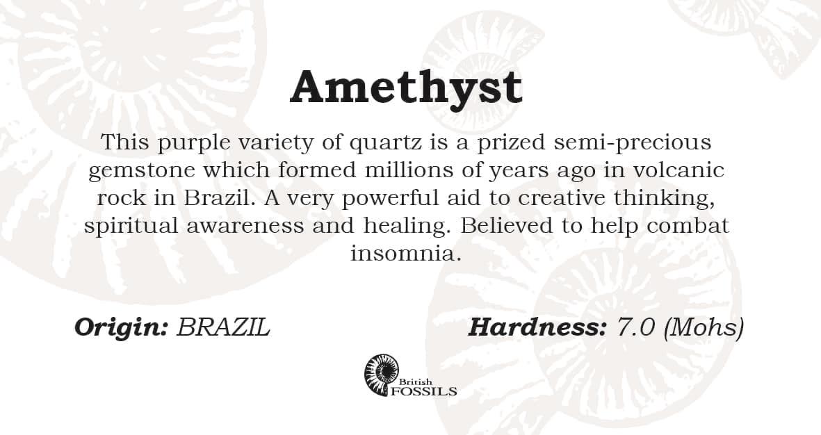 Amethyst Tumbled Semi-Precious Gemstone with Info Card