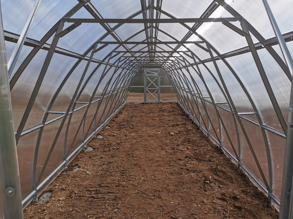 GREENHOUSE SUNGROW, 24 M² (3M X 8M; 9.8FT X 26FT)
