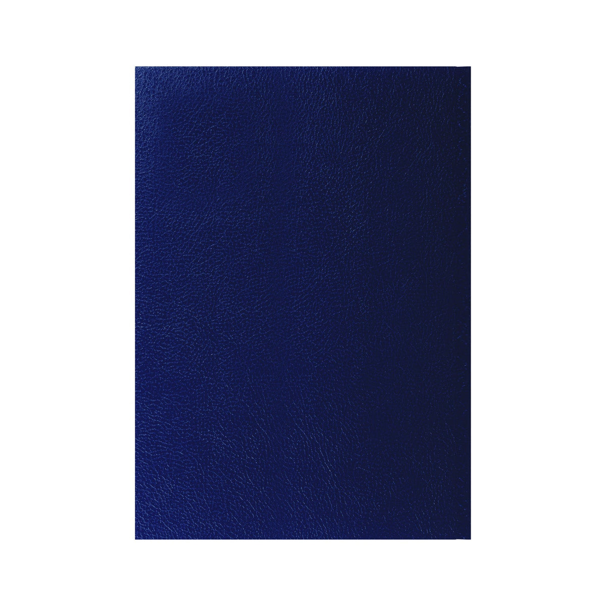 2026-2027 - Mid Year Planner - 13 Month A4 Day-to-Page Diary with Appointments - Collins Debden Desk Diary