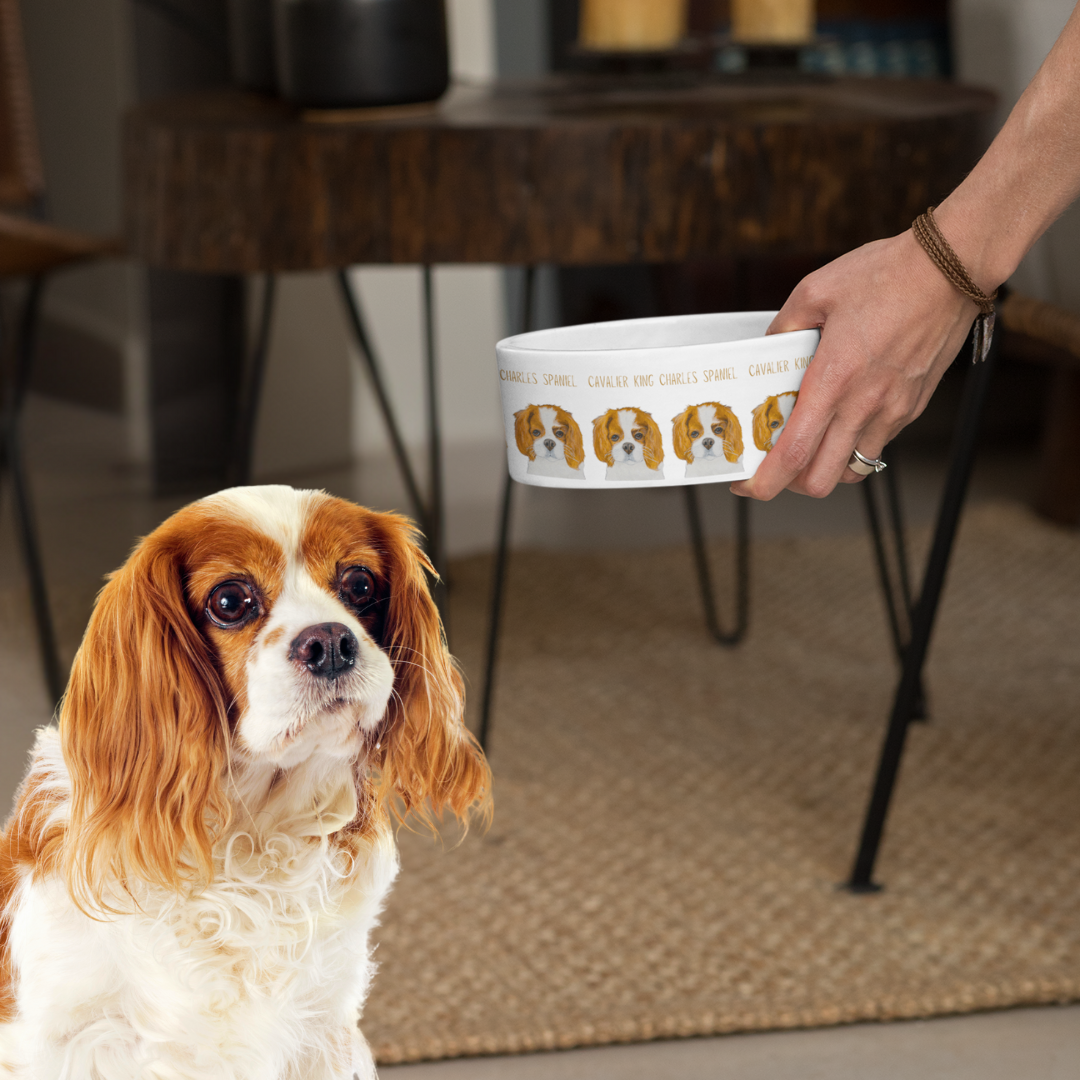 Royal Tableware: Cavalier King Charles Spaniel Ceramic Dog Bowl for Distinguished Diners