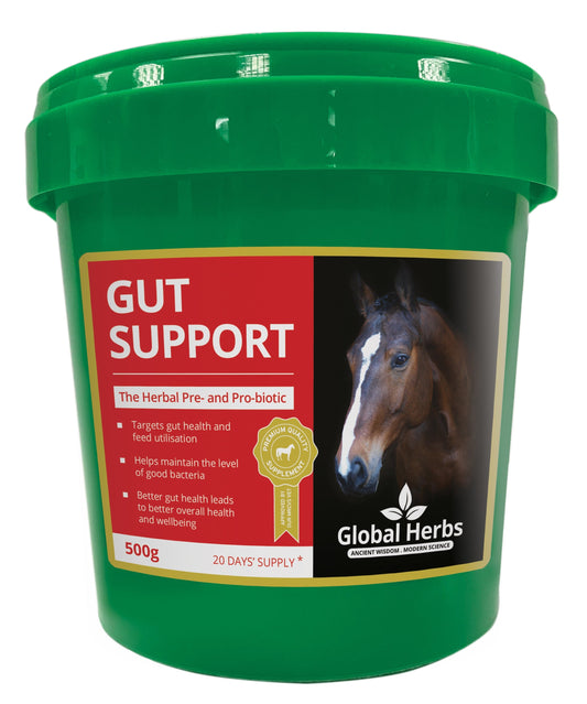 Gut support - Global Herbs
