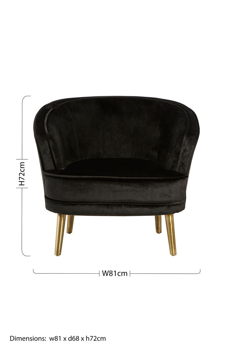 Louxor Black Velvet Round Chair with Gold Finish Legs