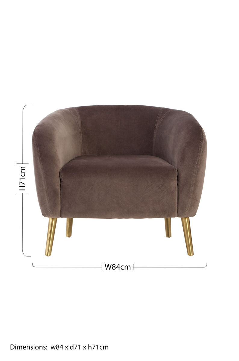 Louxor Grey Velvet Round Armchair with Gold Finish Metal Legs