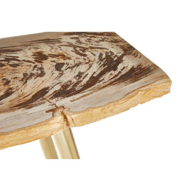 Natural and Rustic Petrified Wood Console Table Slim Brass Finish Iron Legs | Relic