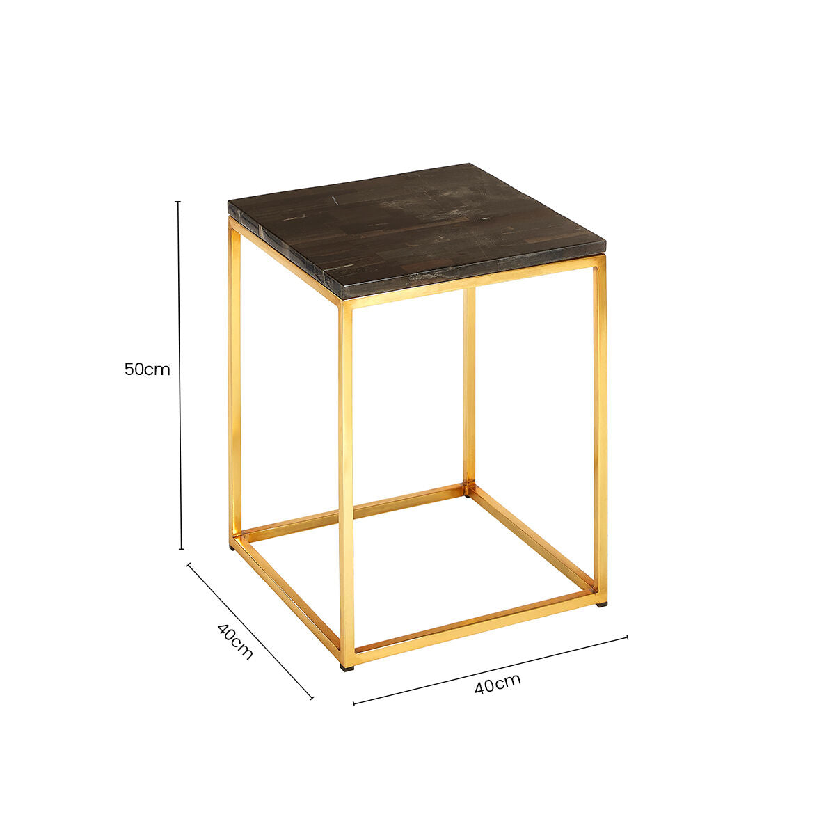 Black Petrified Wood Top Square Side Table with Gold Warm Brass Iron Base | Relic