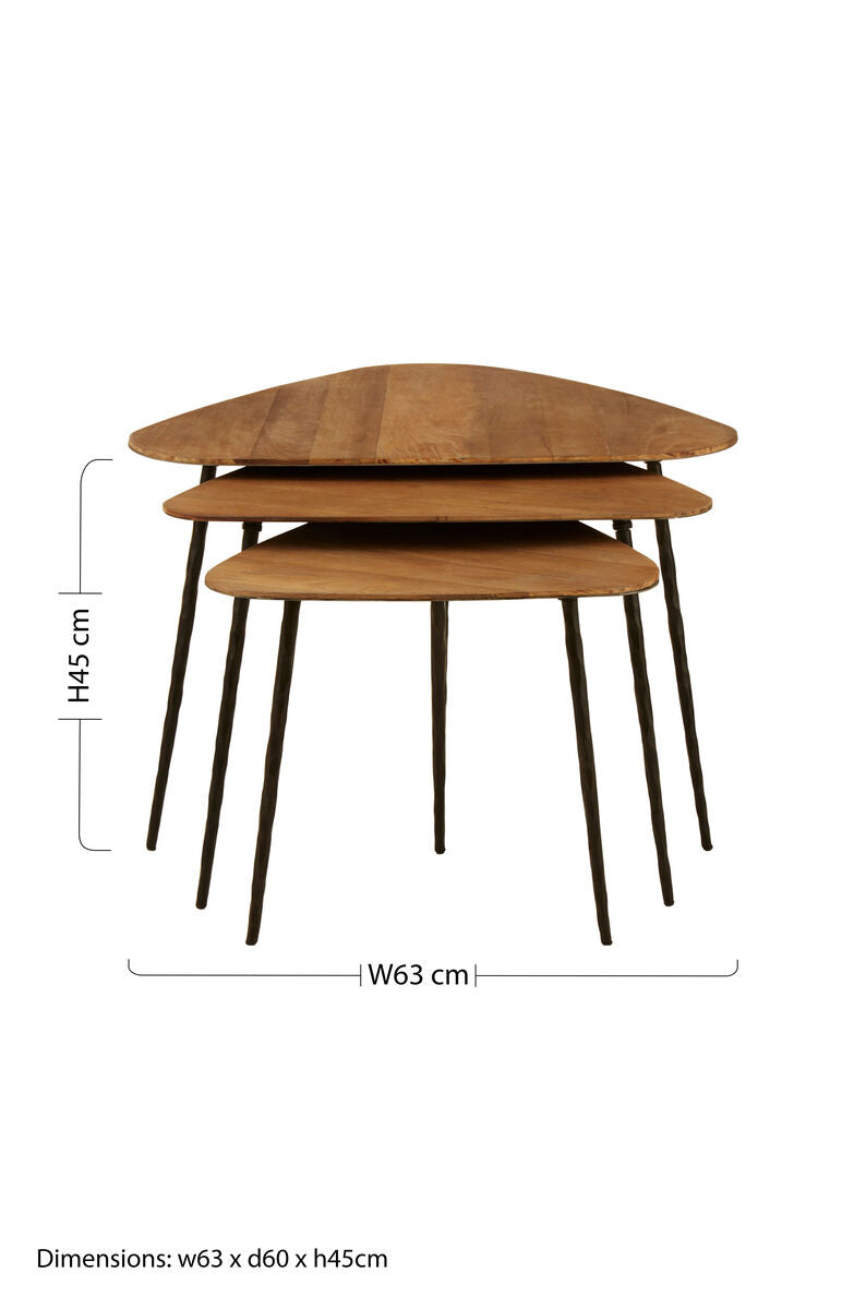 Black and Brown Elm Wood Top Nest of 3 Triangular Tables with Black Iron Legs | Elmo