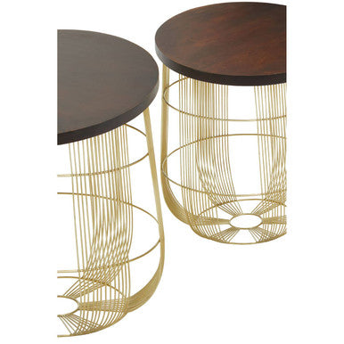 Set of 2 Brown Mango Wood Side Tables with Gold Finish Metal Base | Agra