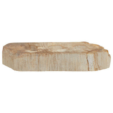Petrified Wood 3 Tealight Holder | Relic