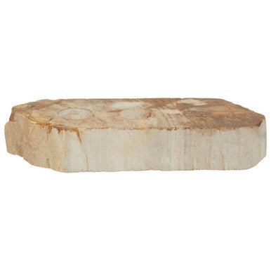 Petrified Wood 3 Tealight Holder | Relic