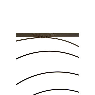 Trento Small Black Leaf Design Wall Art