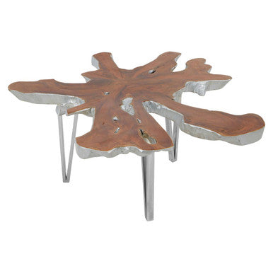 Silver Teak Wood Star Top Coffee Table with Steel Legs | Surak