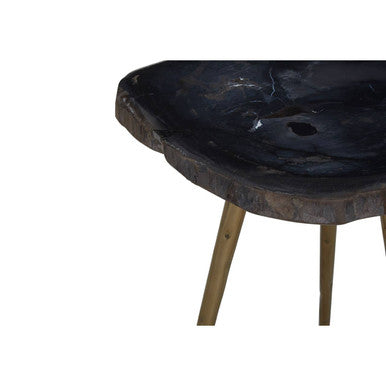 Brown Petrified Wood Top Side Table with Brass Finish Angular Legs | Relic