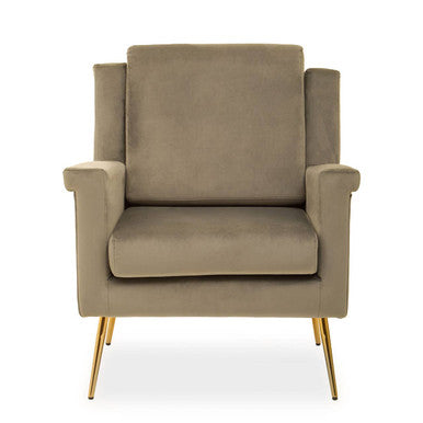 Salma Mink Velvet Armchair with Gold Finish Metal Legs
