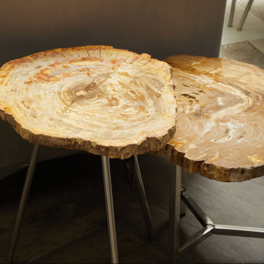 Natural Small Rustic Petrified Wood Top Side Table with Silver Finish Metal Frame | Relic