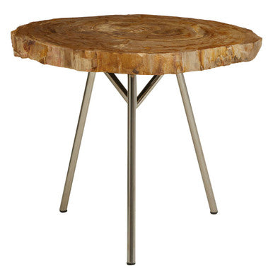 Natural Medium Rustic Petrified Wood Top Side Table with Silver Finish Metal Frame | Relic