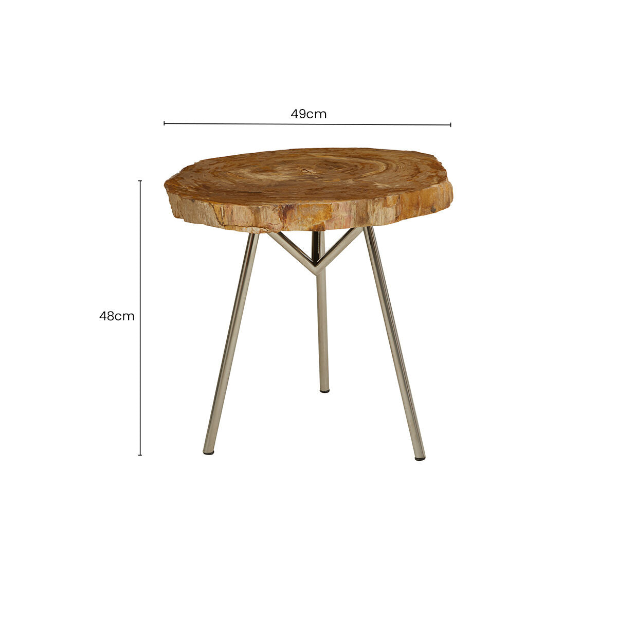 Natural Medium Rustic Petrified Wood Top Side Table with Silver Finish Metal Frame | Relic