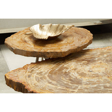 Relic Medium Petrified Wood Side Table