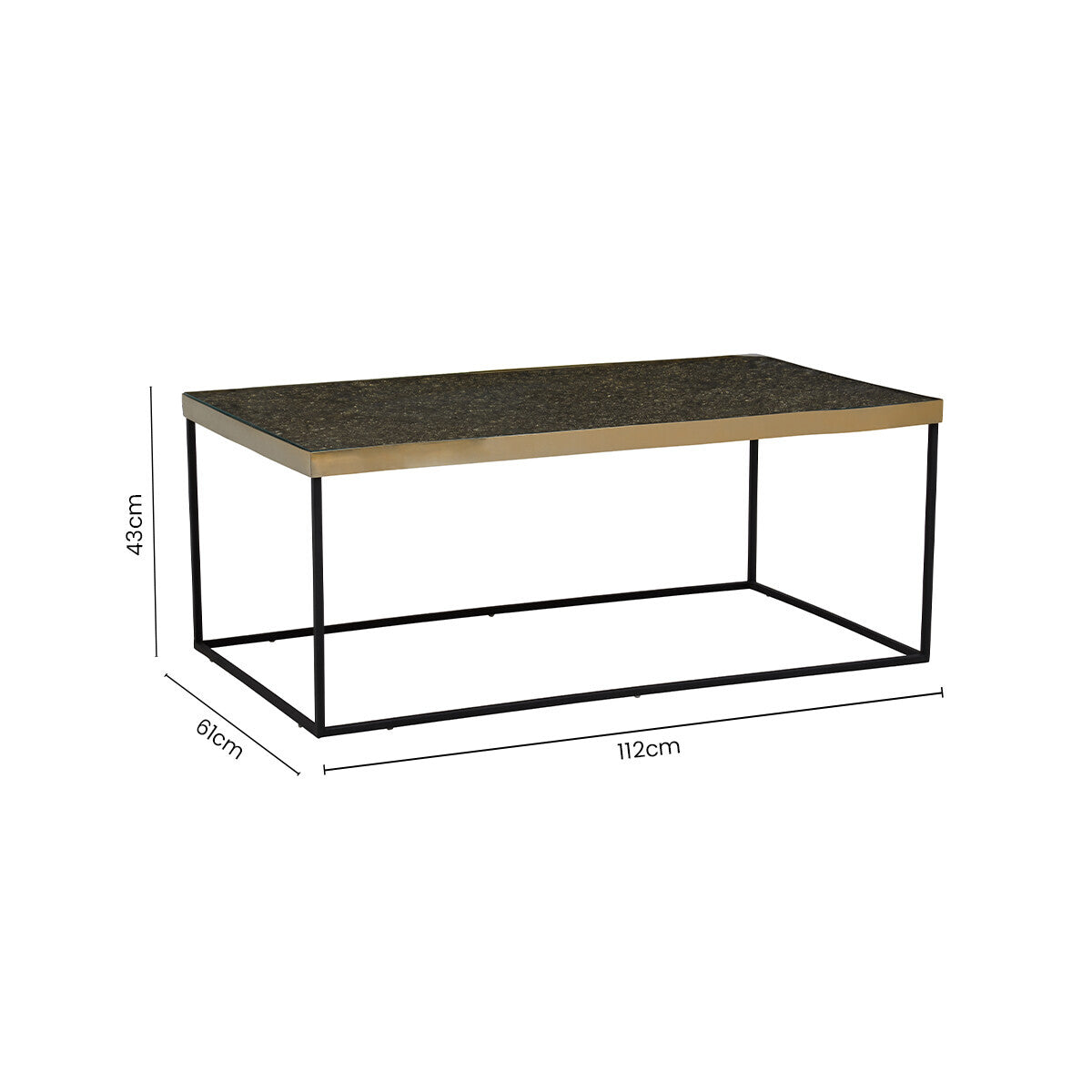 Aris Black And Gold Coffee Table