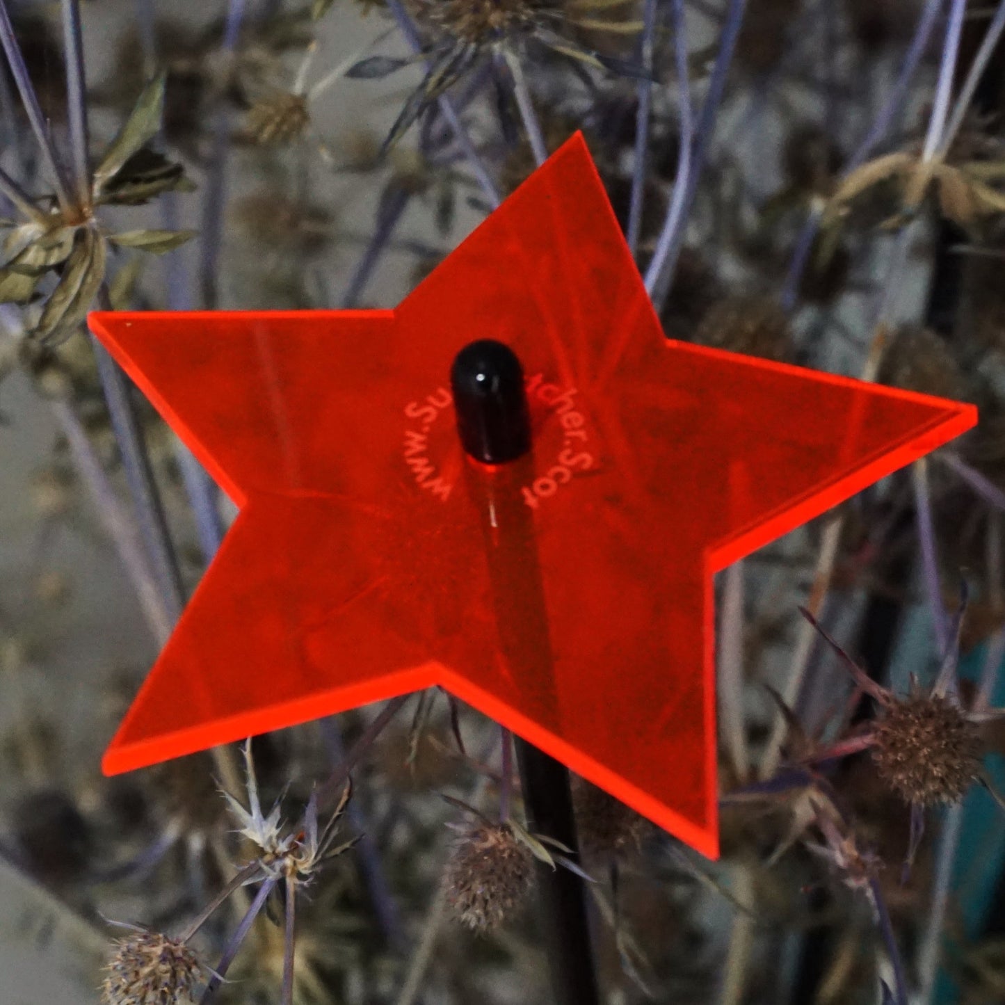 Garden Décor Ornaments Set of 5 'Shining Stars'