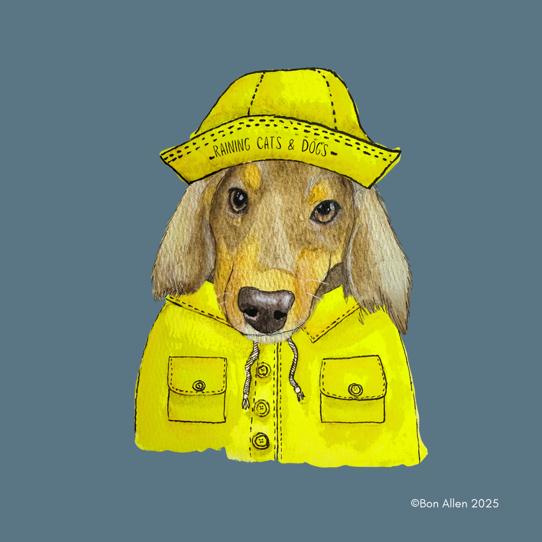 Dachshund Downpour Defender – Stay Dry in Style