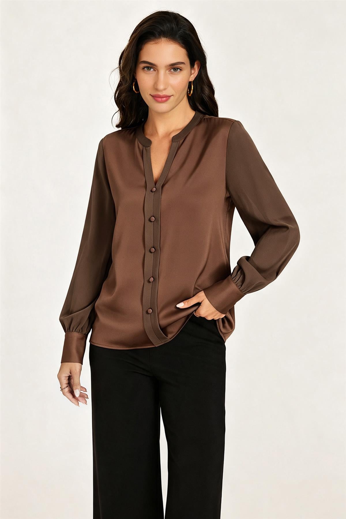 Long Sheer Sleeve Satin Notch Neck Blouse Top In Brown
