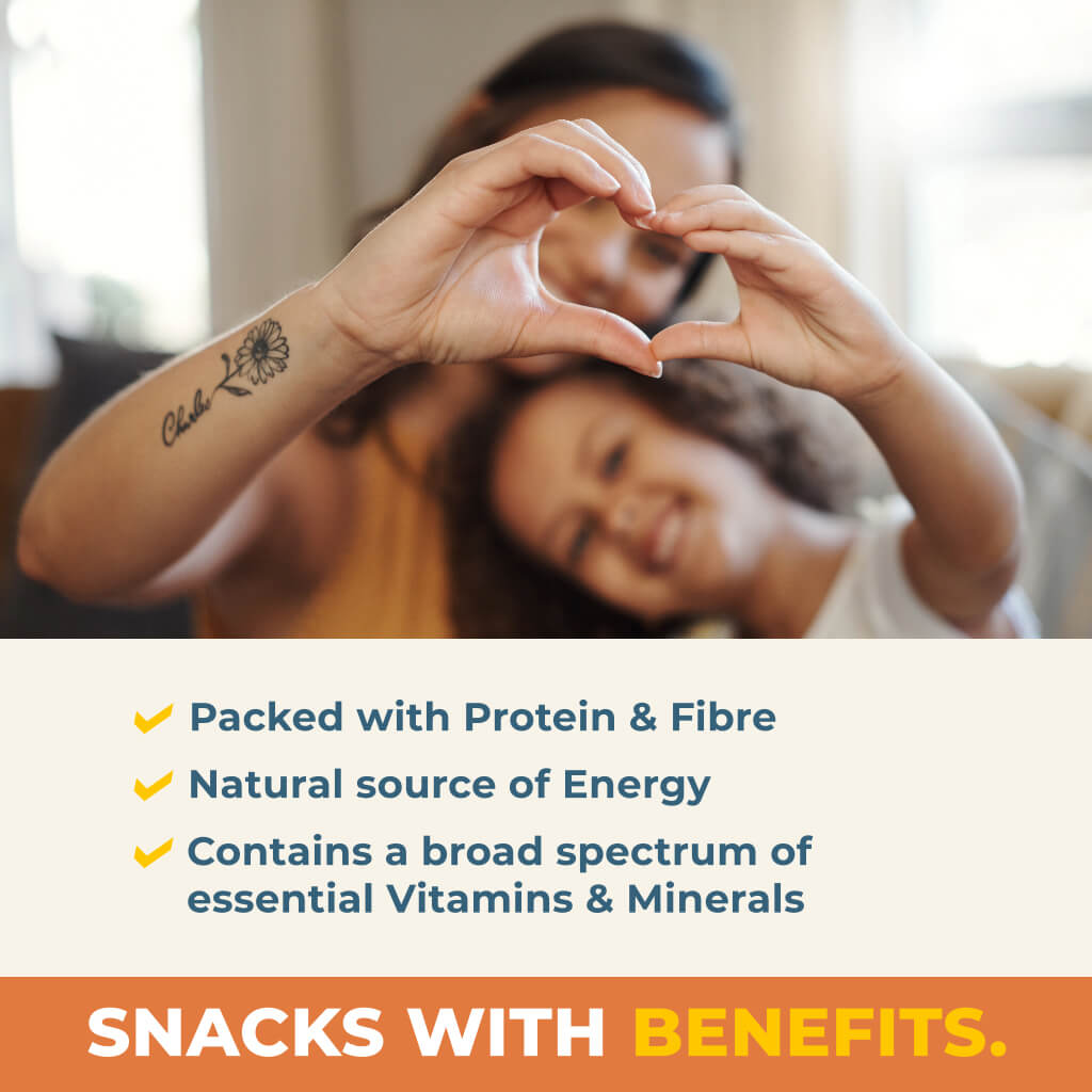 Roasted Fava Bean Pieces - Sea Salt