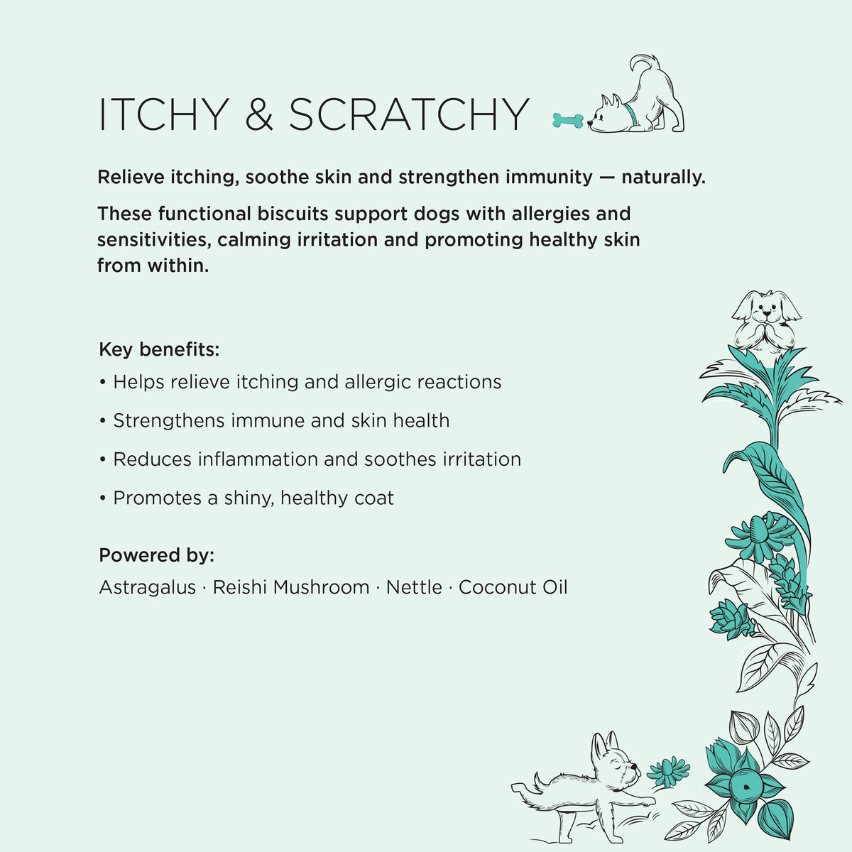The Itchy Skin & Tummy Bundle