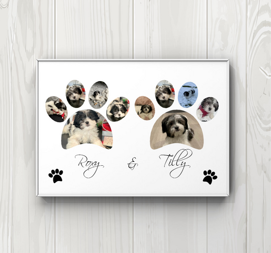 Pet print, dog, cat A4 print UNFRAMED