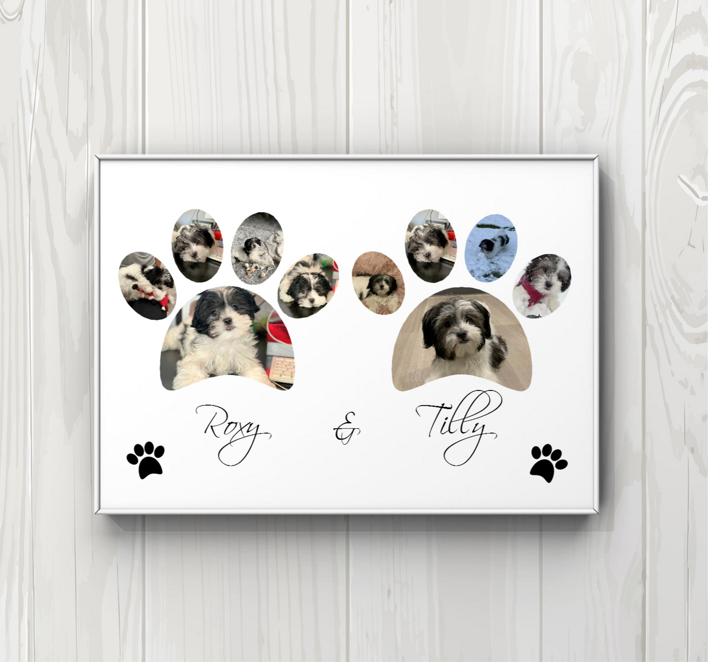 Pet print, dog, cat A4 print UNFRAMED