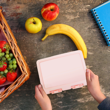 Grub Tub Pink Lunch Box