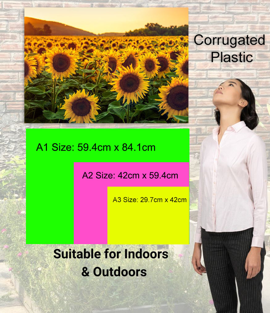 SCCORREX002 - A2 Medium Printed Rigid Rectangle Board on Correx - Poster, Sign Height 59.4cm