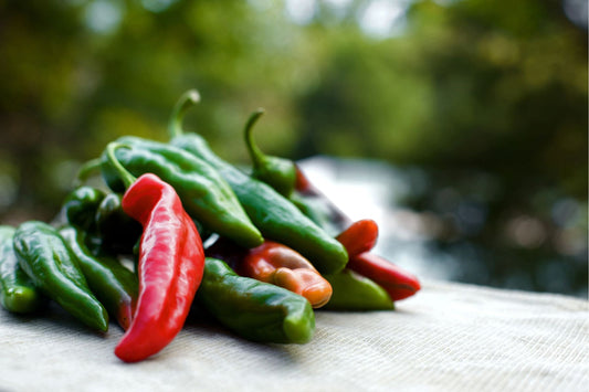 Anaheim Chilli