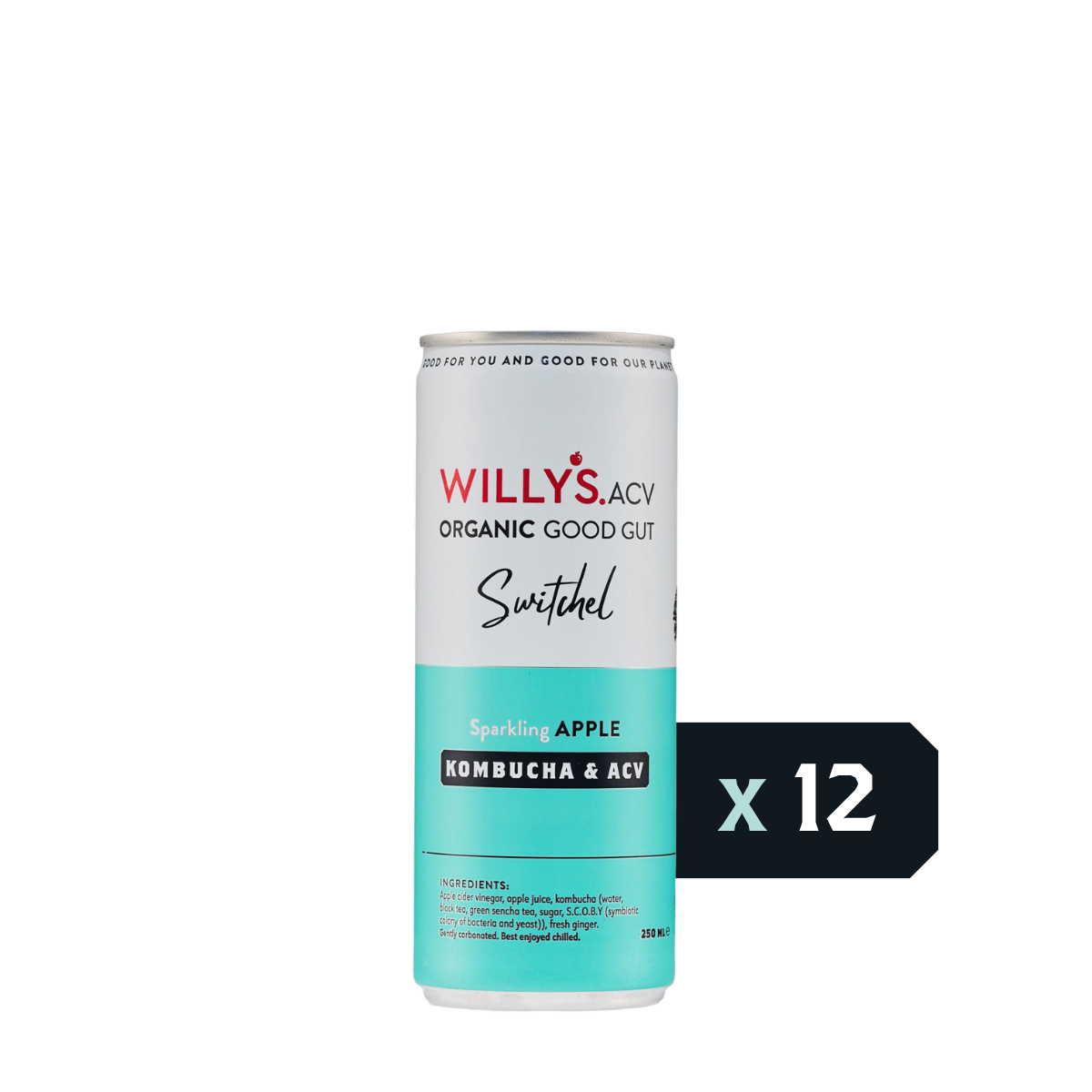Sparkling Apple Switchel