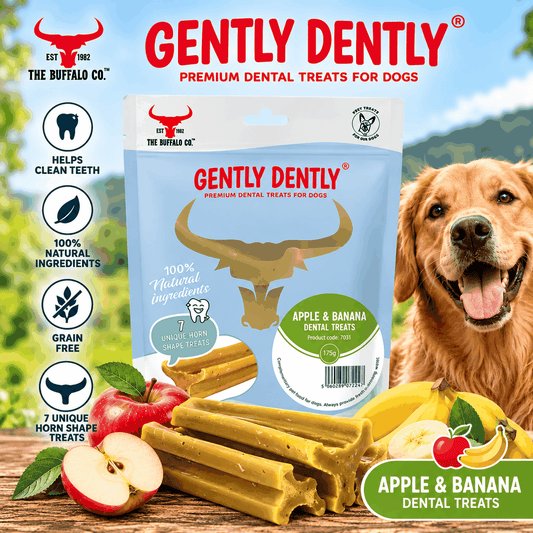 Gently Dently- Apple & Banana Dental Treats for Dogs 175g