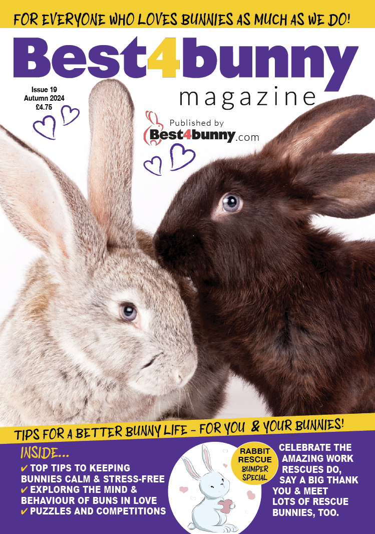 Best4Bunny Magazine -Autumn 2024 (issue 19)
