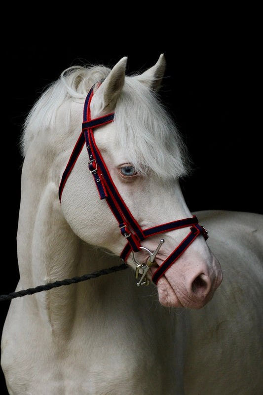 Standard Bridle - Cavesson Noseband
