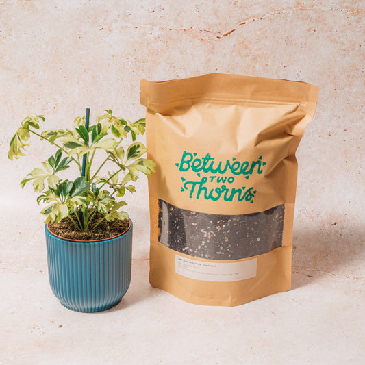 Peat-free Houseplant soil with substrates 500g & 1kg bags