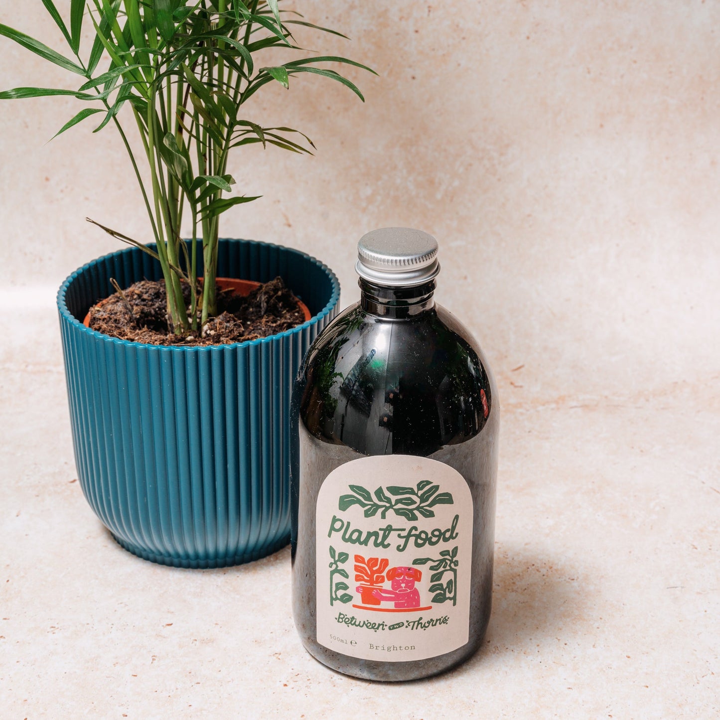 WHOLESALE BETWEEN TWO THORNS SEAWEED FEED