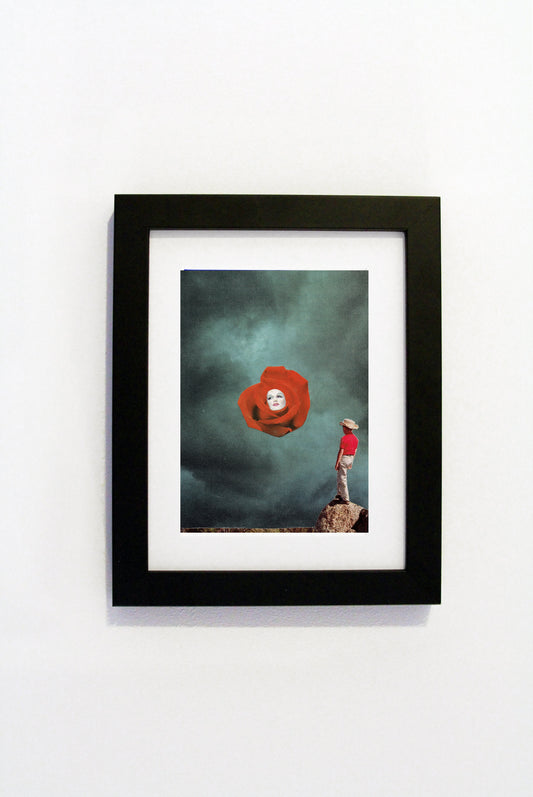 Steven Quinn - Desert Rose