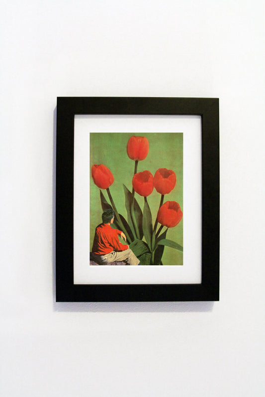 Steven Quinn - Deranged & Arranged