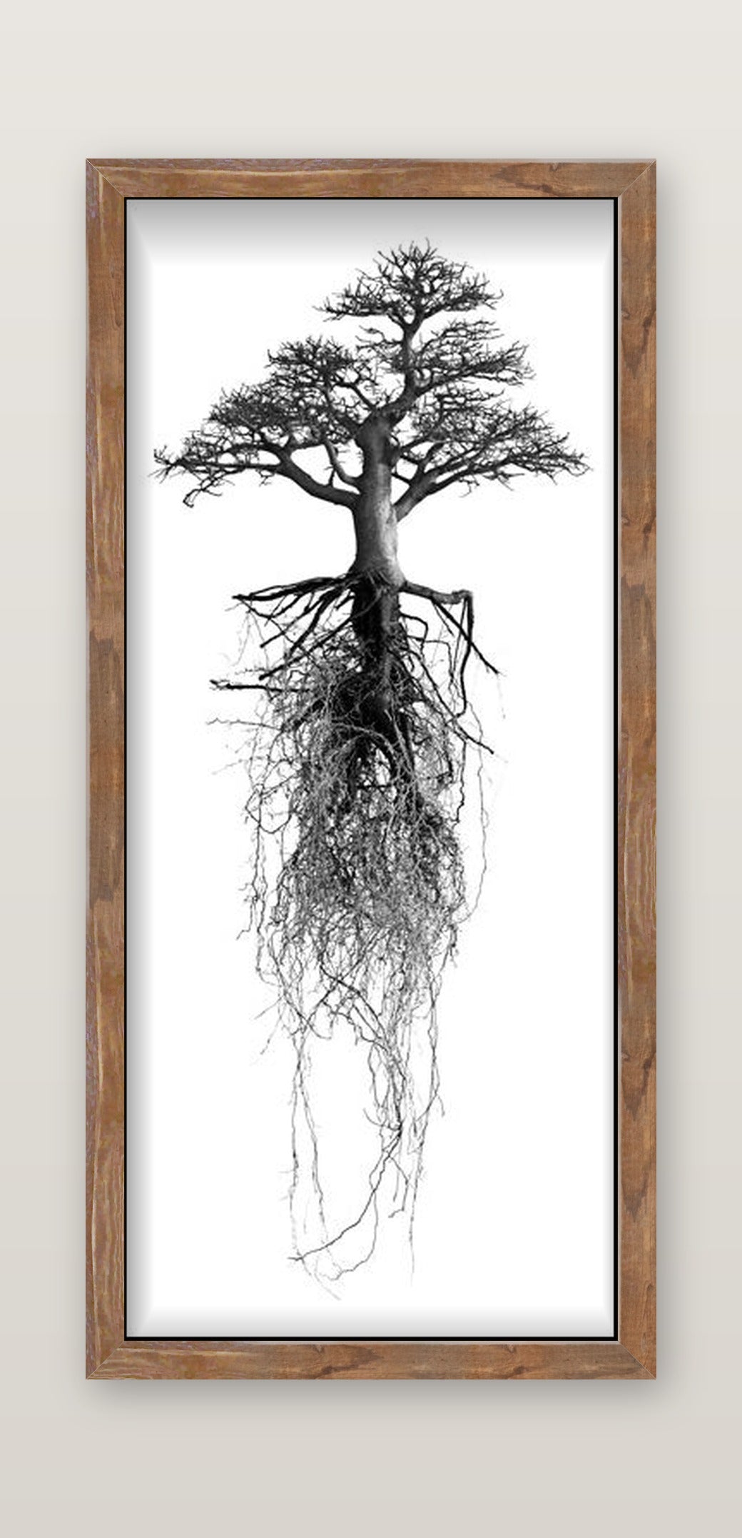 David Ballam - Trees Bonsai 01