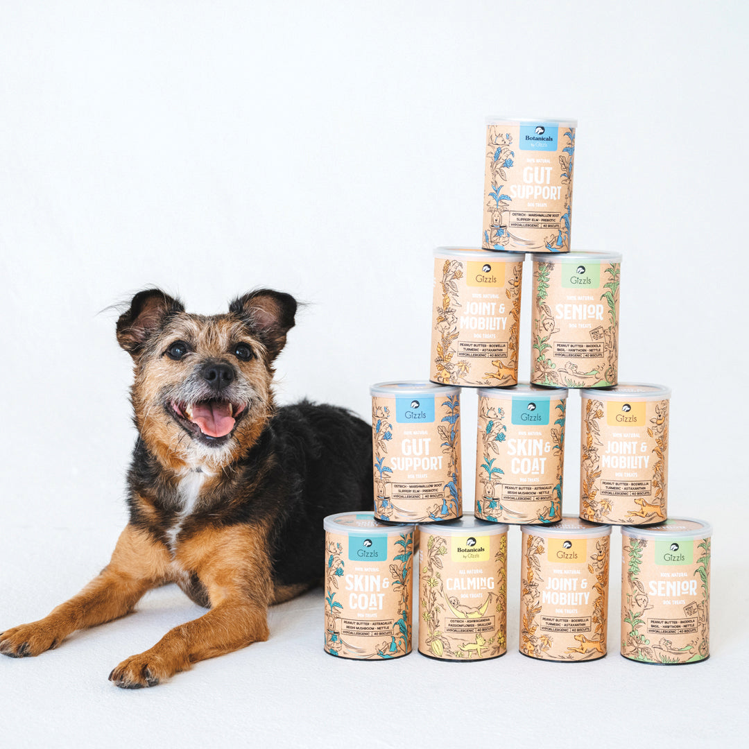 Calming Dog Treats