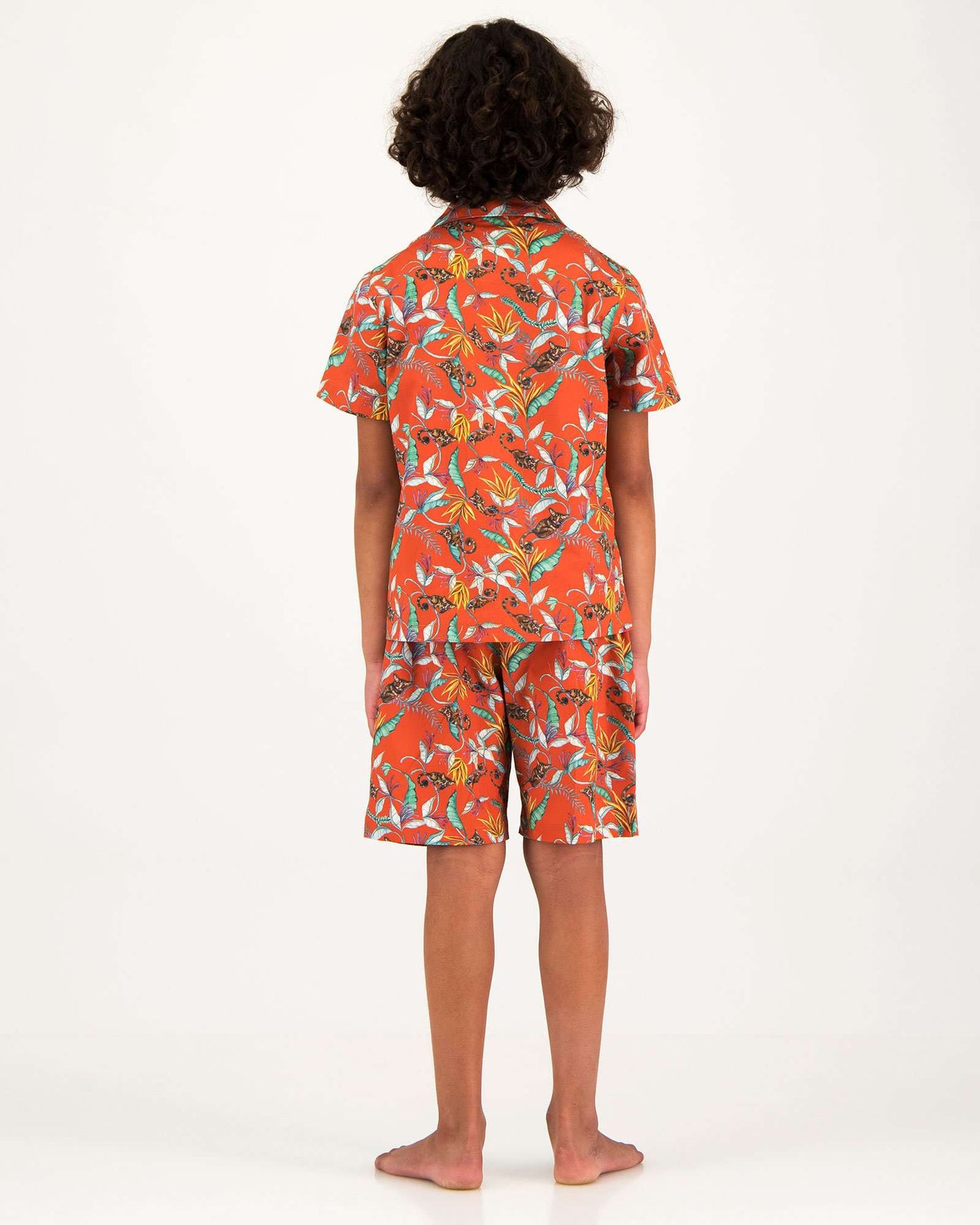 Boys Short Pyjamas - Night Monkeys Orange