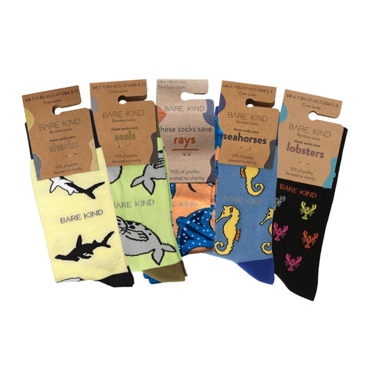 Ocean Rainbow 5 Pack Bamboo Sock Set