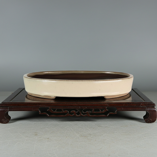 26cm Glazed Bonsai Pot | Oval | 26cm x 19cm x 4cm | Cream