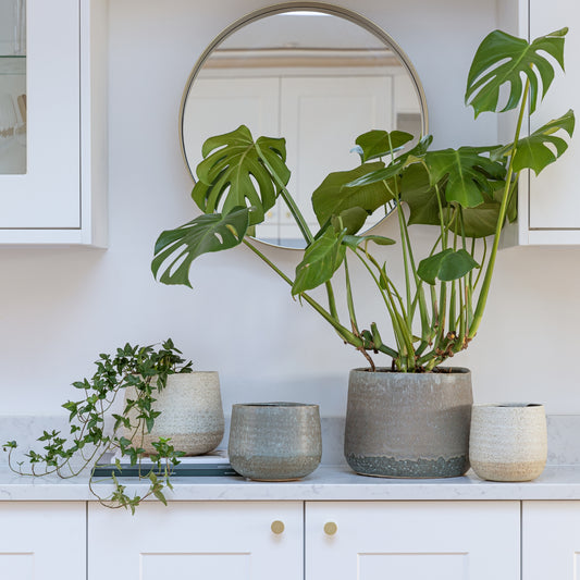 TheFoalyard Ivyline Celeste Cream & Grey Planters