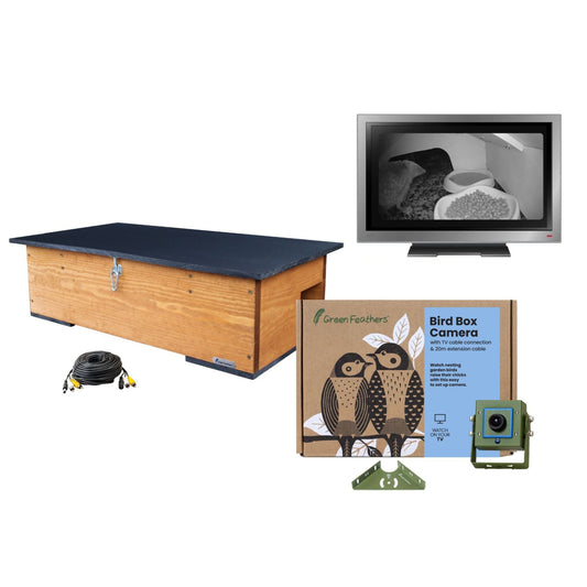 Cable Connection Hedgehog TV Camera Pack